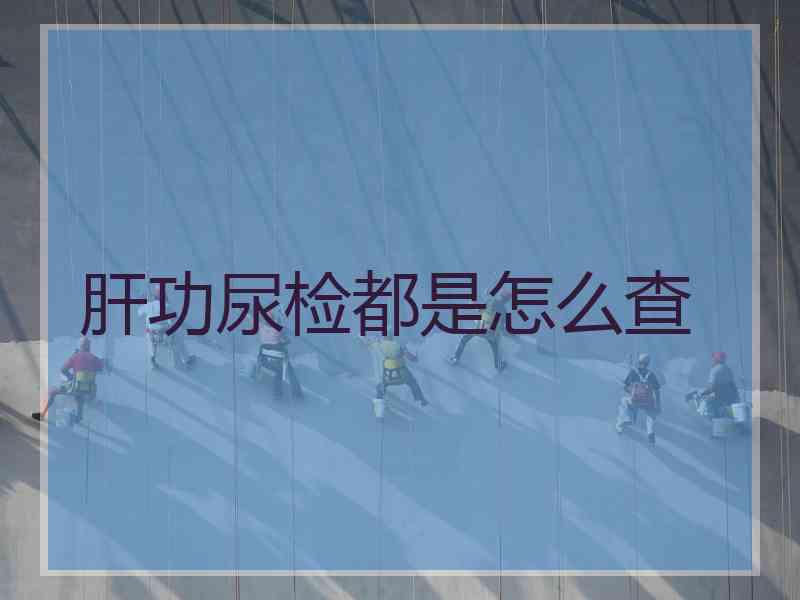 肝功尿检都是怎么查