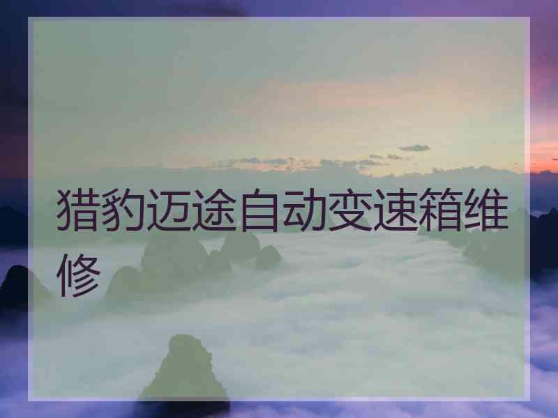 猎豹迈途自动变速箱维修