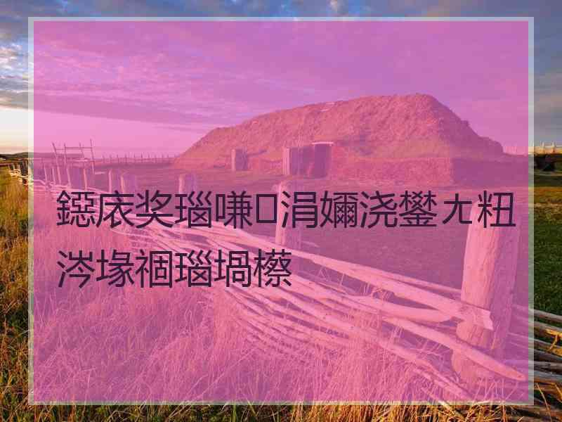鐚庡奖瑙嗛涓嬭浇鐢ㄤ粈涔堟祻瑙堝櫒