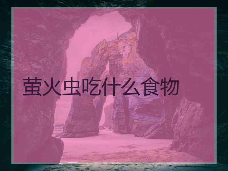 萤火虫吃什么食物