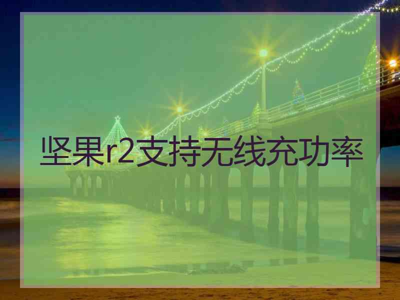 坚果r2支持无线充功率