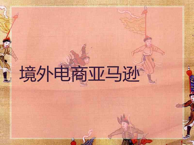 境外电商亚马逊