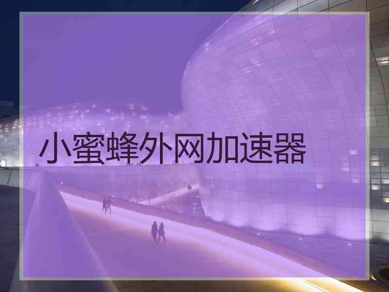 小蜜蜂外网加速器