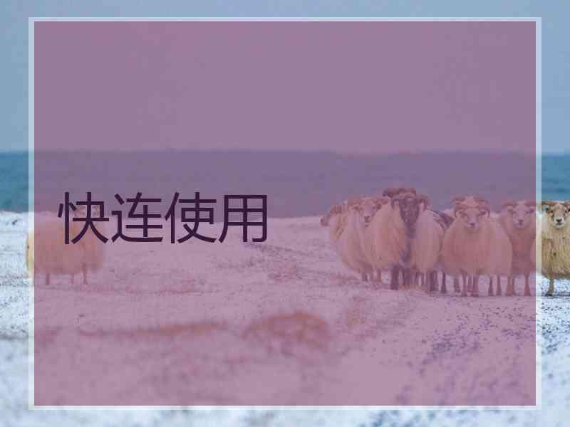 快连使用
