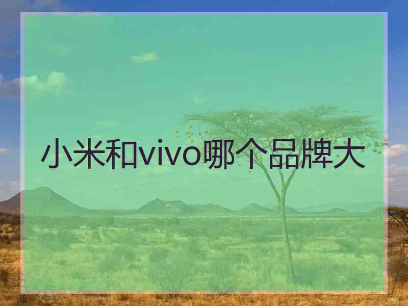 小米和vivo哪个品牌大
