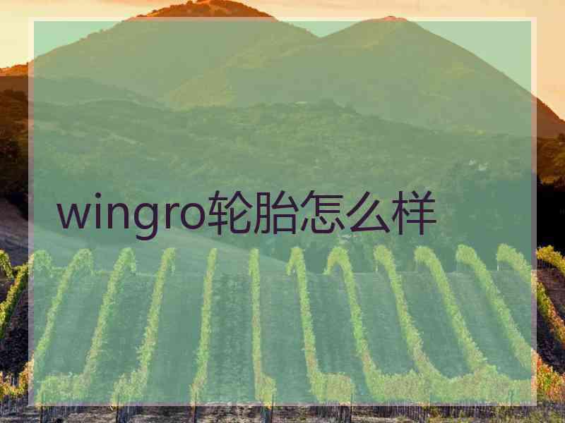 wingro轮胎怎么样