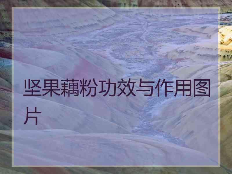 坚果藕粉功效与作用图片