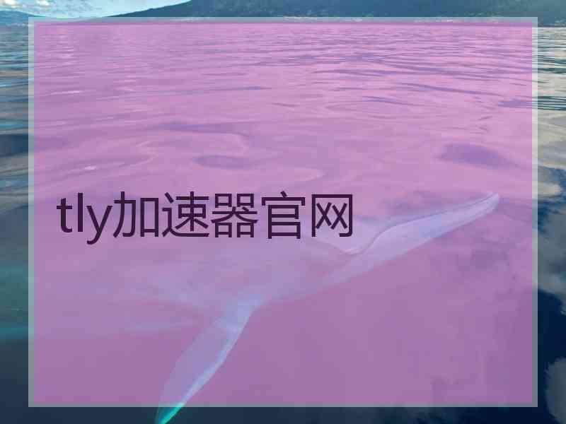 tly加速器官网