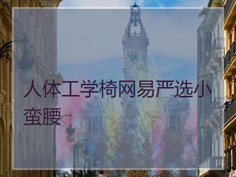 人体工学椅网易严选小蛮腰