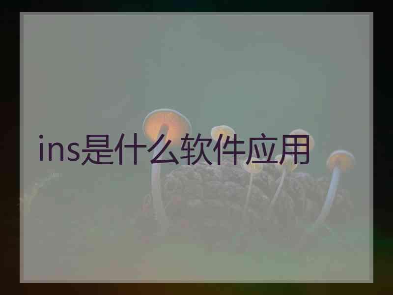 ins是什么软件应用