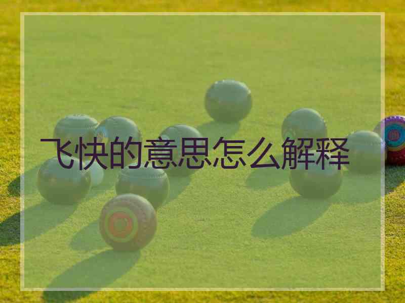 飞快的意思怎么解释