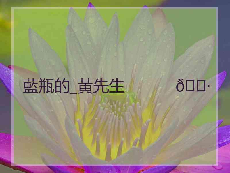 藍瓶的_黃先生           🕷