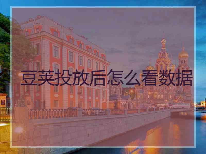 豆荚投放后怎么看数据