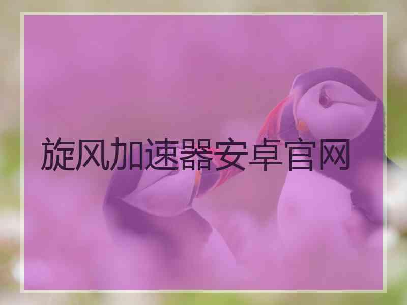 旋风加速器安卓官网