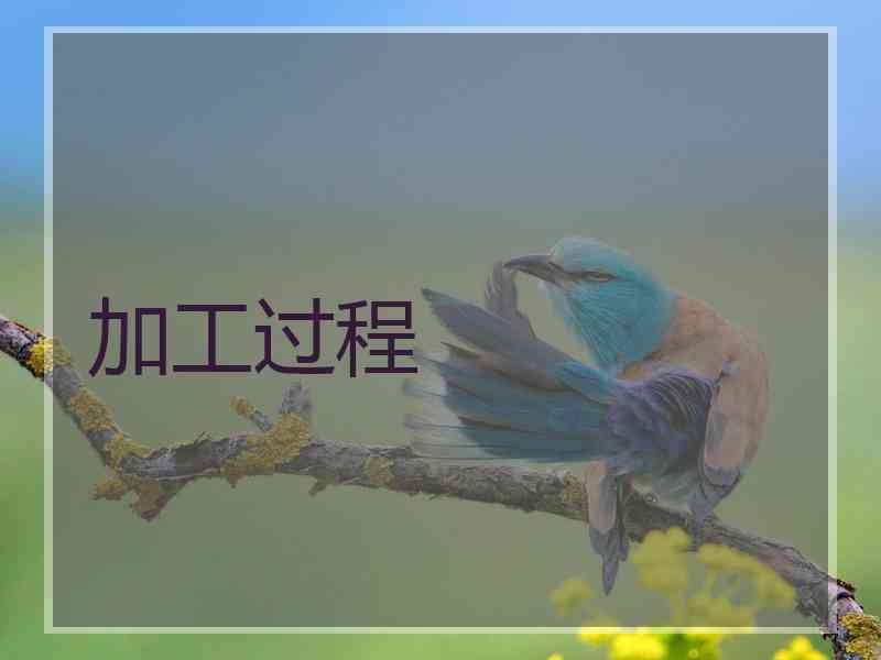 加工过程
