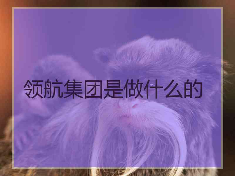 领航集团是做什么的