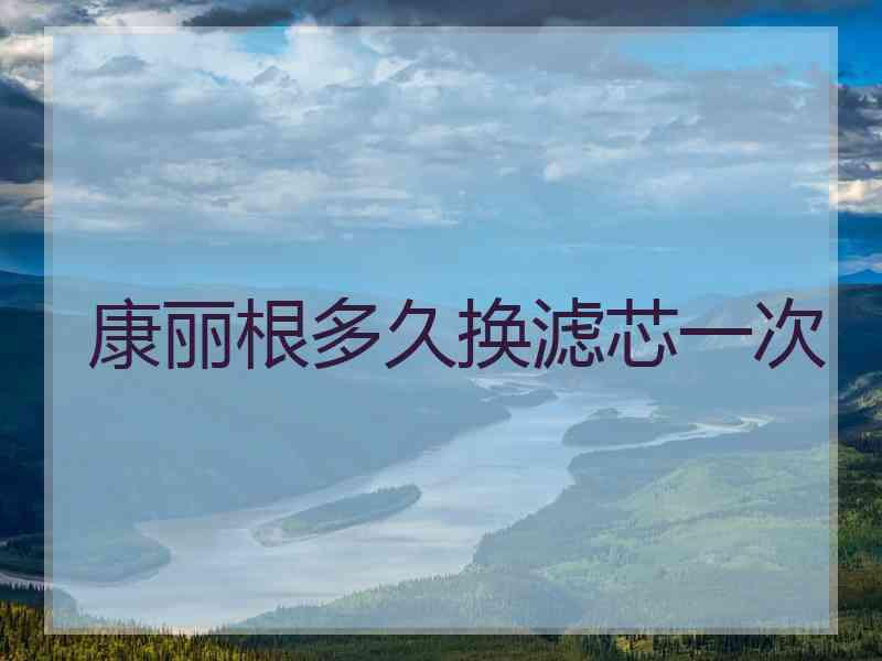 康丽根多久换滤芯一次