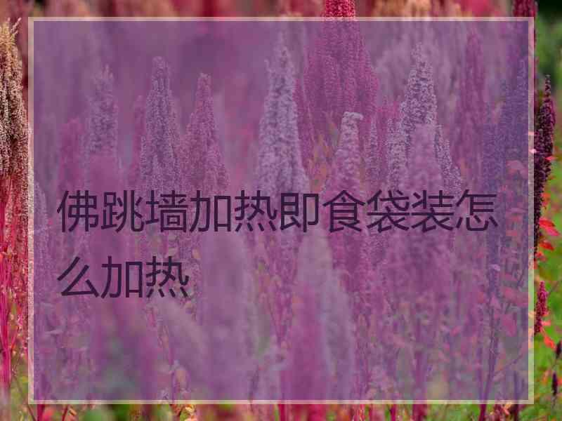 佛跳墙加热即食袋装怎么加热