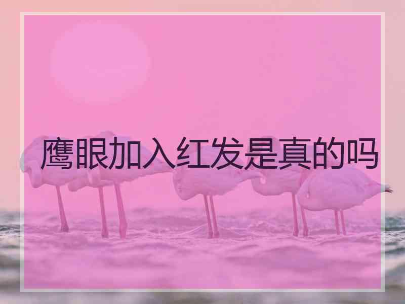 鹰眼加入红发是真的吗