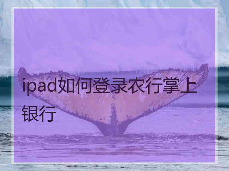 ipad如何登录农行掌上银行