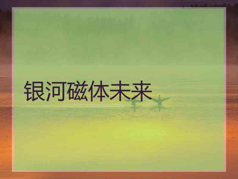银河磁体未来