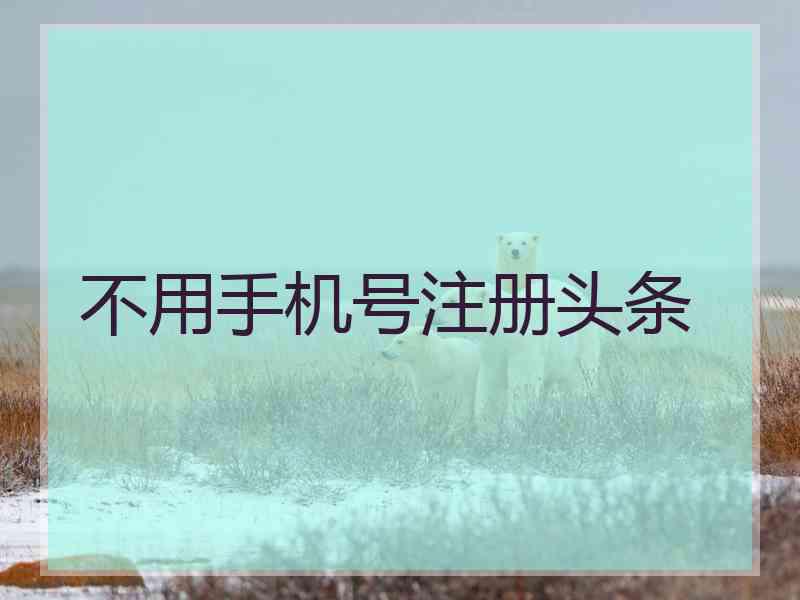 不用手机号注册头条