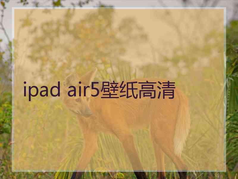 ipad air5壁纸高清