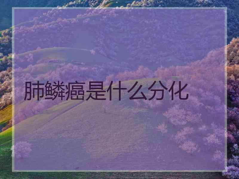肺鳞癌是什么分化