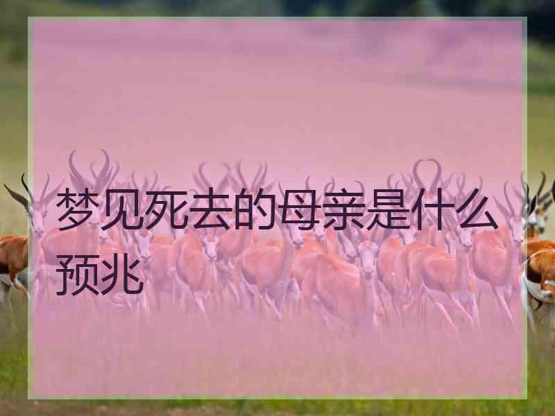 梦见死去的母亲是什么预兆