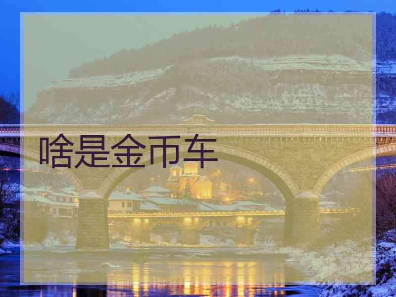 啥是金币车