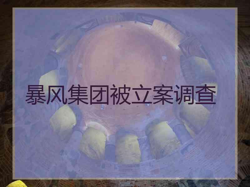 暴风集团被立案调查