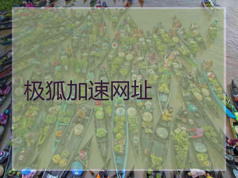 极狐加速网址