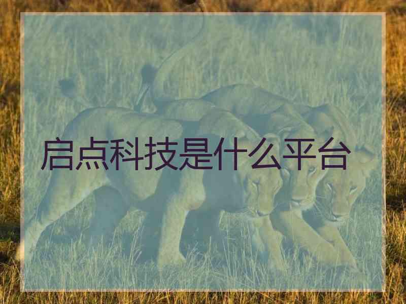 启点科技是什么平台