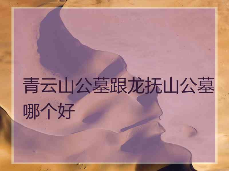 青云山公墓跟龙抚山公墓哪个好