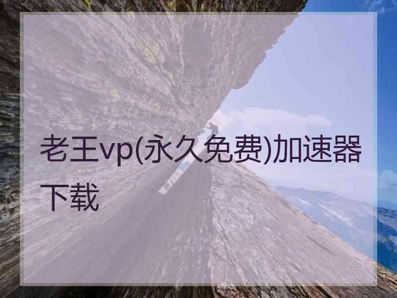 老王vp(永久免费)加速器下载