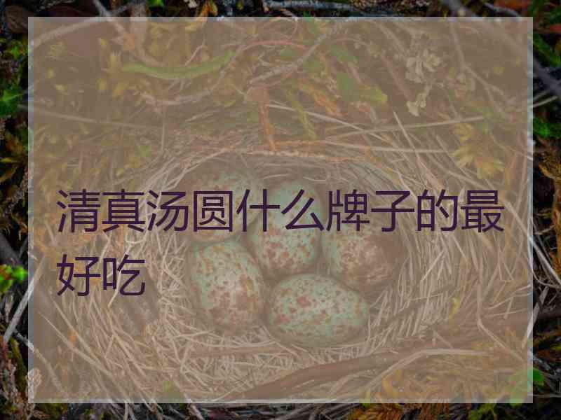清真汤圆什么牌子的最好吃