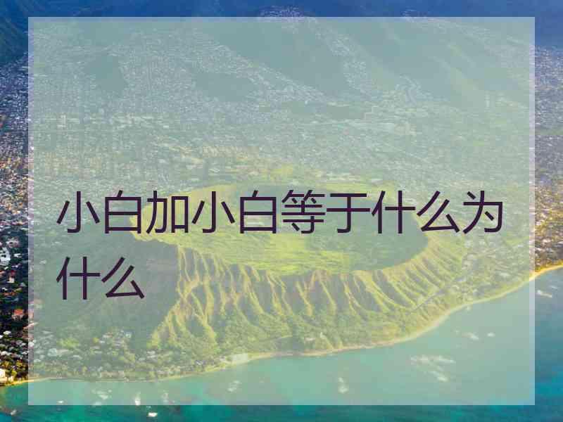 小白加小白等于什么为什么