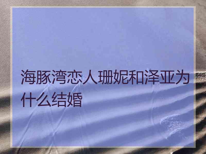 海豚湾恋人珊妮和泽亚为什么结婚