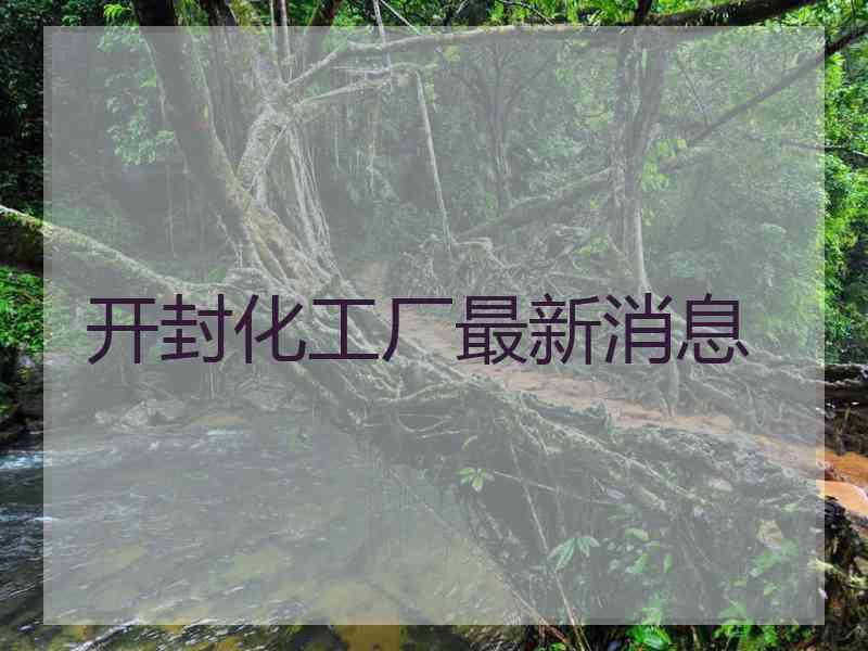 开封化工厂最新消息