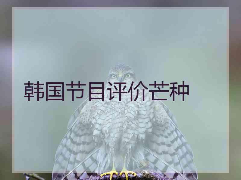 韩国节目评价芒种