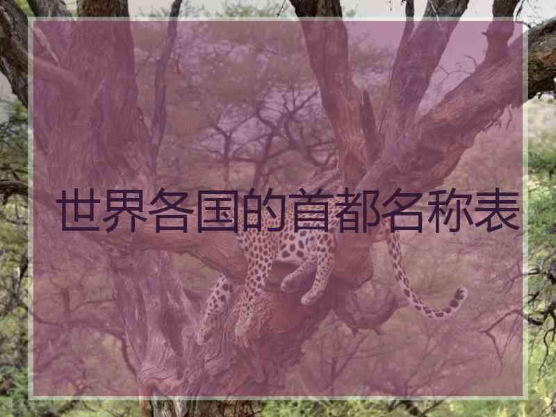 世界各国的首都名称表