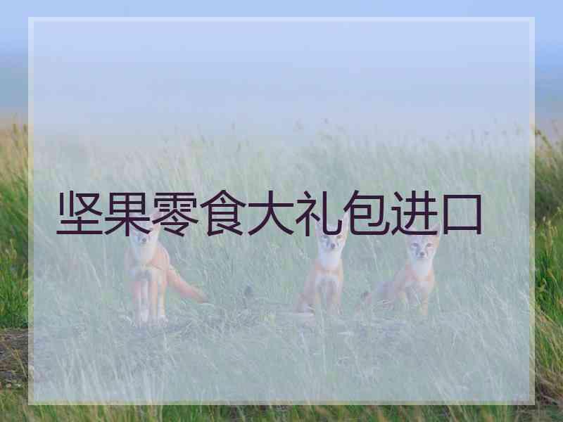 坚果零食大礼包进口