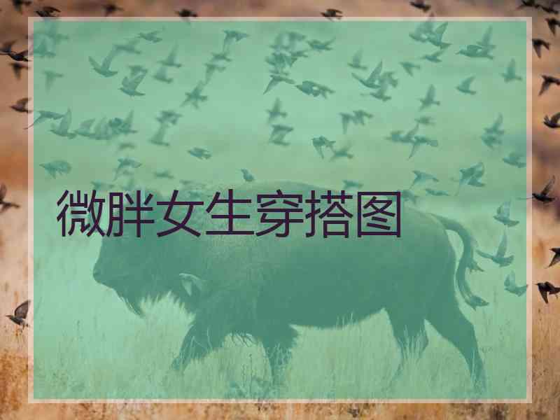 微胖女生穿搭图