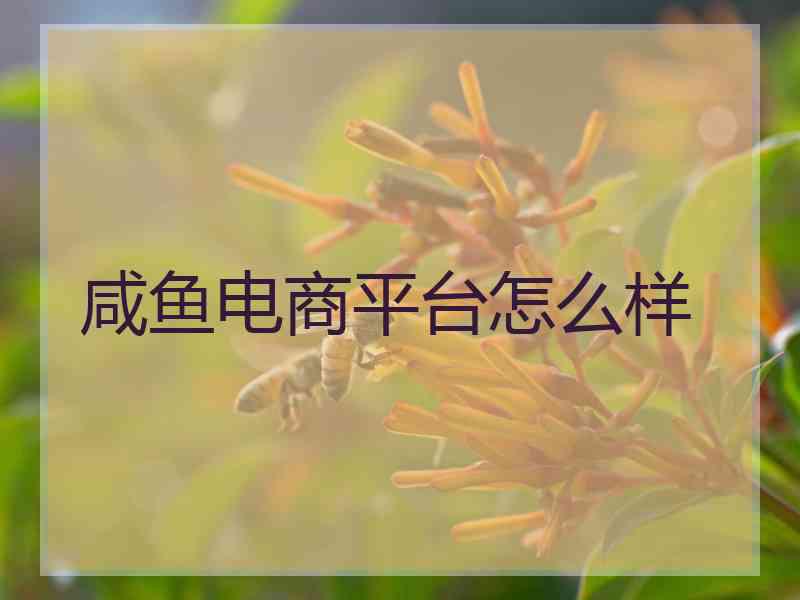 咸鱼电商平台怎么样