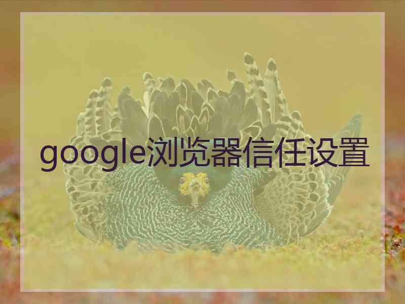 google浏览器信任设置