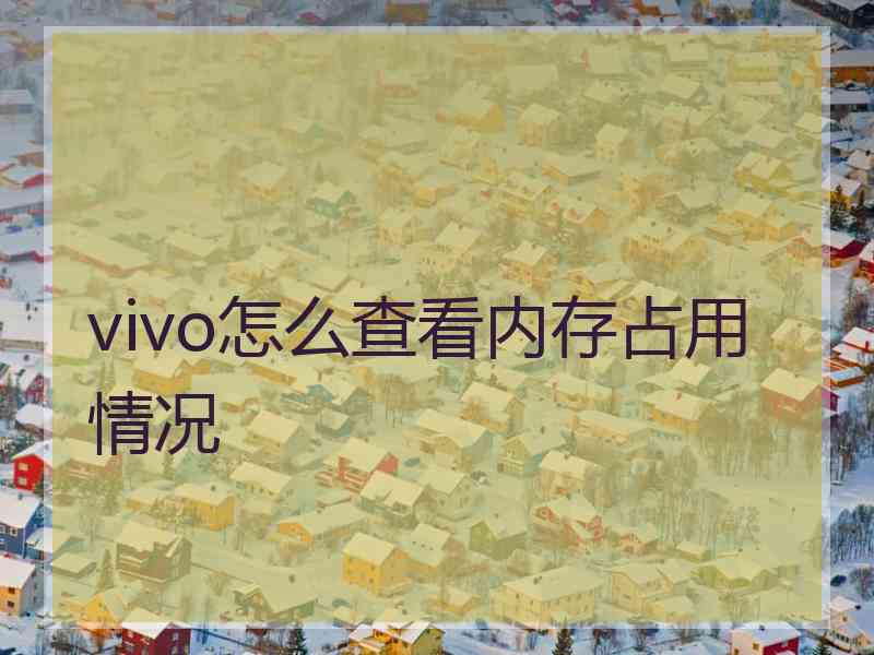 vivo怎么查看内存占用情况
