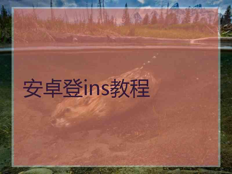 安卓登ins教程