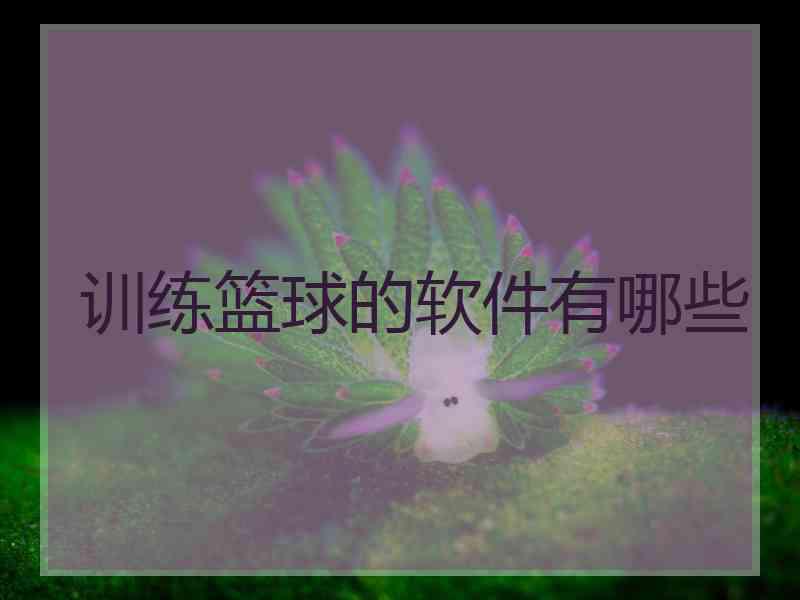 训练篮球的软件有哪些