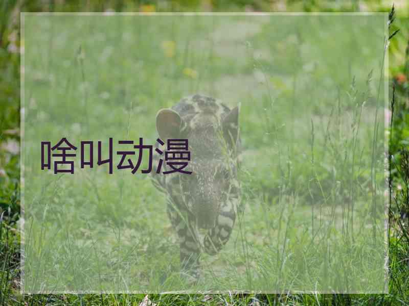 啥叫动漫