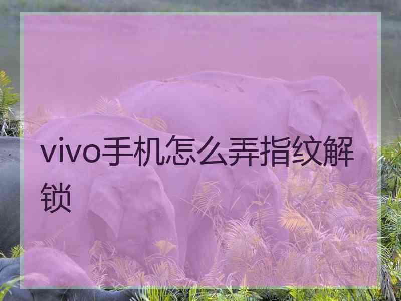 vivo手机怎么弄指纹解锁